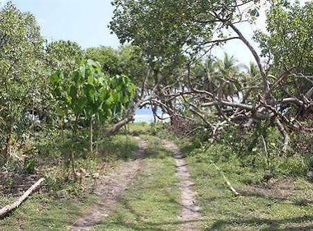 Alofa Beach Bungalows Lénakel 外观 照片