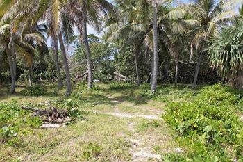 Alofa Beach Bungalows Lénakel 外观 照片